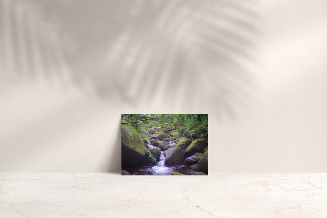 Stream, Rocks, Manoa Falls Trail, Oahu, Hawaii, Folded Note Card, Image
