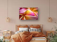 Load image into Gallery viewer, Pink and Yellow Plumerias, Flower Petals, Macro, Closeup, Bedroom Interior, Metal Art Print, Image
