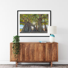 Load image into Gallery viewer, Banyan Tree, Sunburst, Waikiki, Oahu, Hawaii, Framed Matted Photo Print, Interior Entryway, Image
