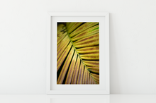 Load image into Gallery viewer, Yellow and rust frond, Plant, Closeup, Oahu, Hawaii, Matted Photo Print, Image
