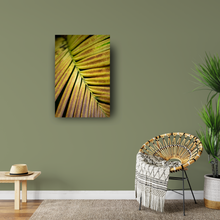 Load image into Gallery viewer, Yellow and rust frond, Plant, Closeup, Oahu, Hawaii, Metal Art Print, Interior Entryway,  Image
