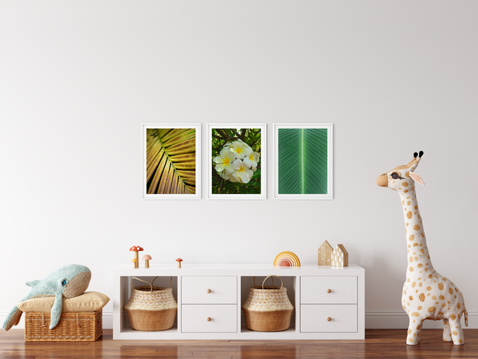 White Plumerias, Flowers, Leaves, Yellow Frond, Green Leaf, Oahu, Hawaii, Kids' Room Interior,  Matted Photo Prints, Image