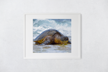 Load image into Gallery viewer, Hawaiian Green Sea Turtle, Ocean, North Shore, Oahu, Hawaii, Matted Photo Print, Image
