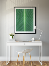 Load image into Gallery viewer, Closeup, Green Leaf, Symmetrical Lines, Oahu, Hawaii, Framed Matted Photo Print, Home Office Interior, Image
