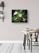 Load image into Gallery viewer, Three Purple, White, Yellow Plumeria Flowers, Green Leaves, Oahu, Hawaii, Metal Art Print, Kitchen Interior, Image
