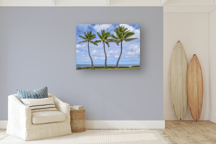 Three Coconut Palm Trees, Ocean, Grass, Puffy Clouds, Sky, Oahu, Hawaii, Metal Art Print, Living Room Interior, Image
