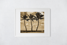 Load image into Gallery viewer, Sepia Tones, Three Coconut Palm Trees, Ocean, Puffy Clouds, Sky, Oahu, Hawaii, Matted Photo Print, Image
