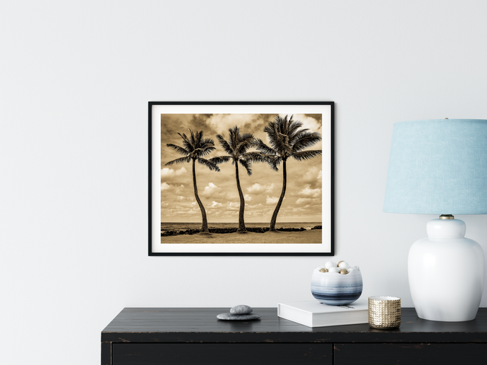 Black and White, Three Coconut Palm Trees, Ocean, Puffy Clouds, Sky, Oahu, Hawaii, Framed Matted Photo Print, Interior Bedroom, Entryway, Image