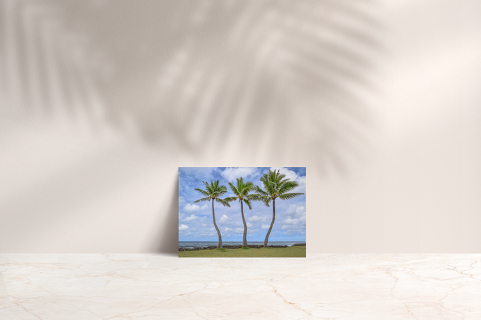 Three Coconut Palm Trees, Ocean, Puffy Clouds, Blue Sky, Oahu, Hawaii, Folded Note Card, Image