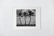 Load image into Gallery viewer, Black and White, Three Coconut Palm Trees, Ocean, Puffy Clouds, Sky, Oahu, Hawaii, Matted Photo Print, Image
