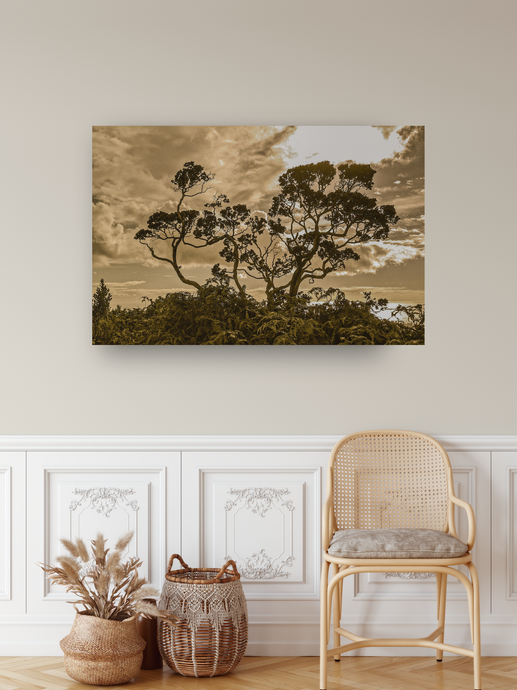 Sepia Tones, Ohia Tree, Clouds, Foliage, Silhouette, Oahu, Hawaii, Metal Art Print, Entryway Interior, Image