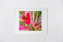 Load image into Gallery viewer, Abstract, Bright Colors, Tropical Plants, Oahu, Hawaii, Framed Matted Print, Image
