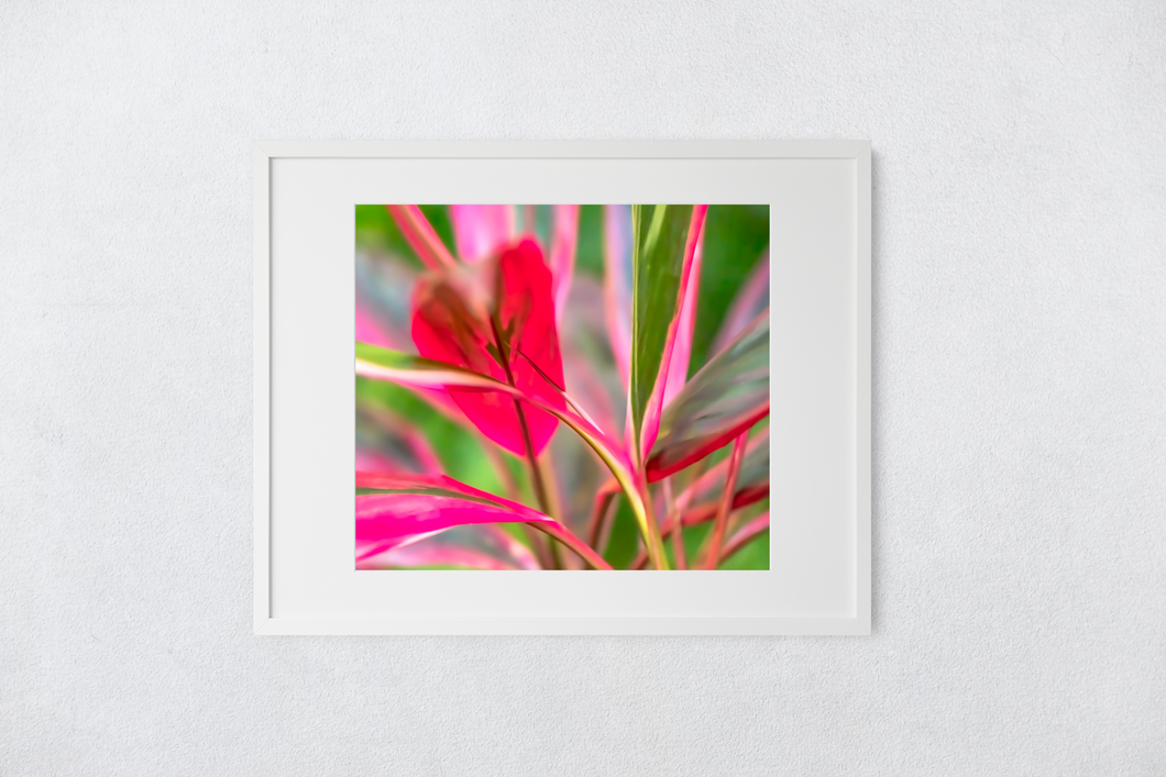 Abstract, Bright Colors, Tropical Plants, Oahu, Hawaii, Framed Matted Print, Image