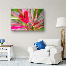 Load image into Gallery viewer, Abstract, Bright Colors, Tropical Plants, Oahu, Hawaii, Living Room Interior, Metal Art Print, Image
