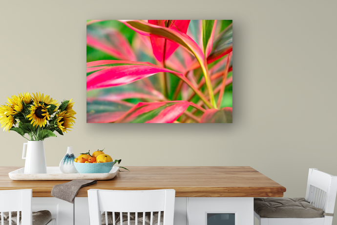 Abstract, Bright Colors, Tropical Plants, Oahu, Hawaii, Metal Art Print, Dining Room Interior, Image