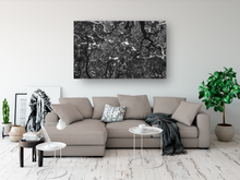 Load image into Gallery viewer, Black and White, Monkeypod Tree, Branches, Leaves, Oahu, Hawaii, Metal Art Print, Living Room Interior, Image
