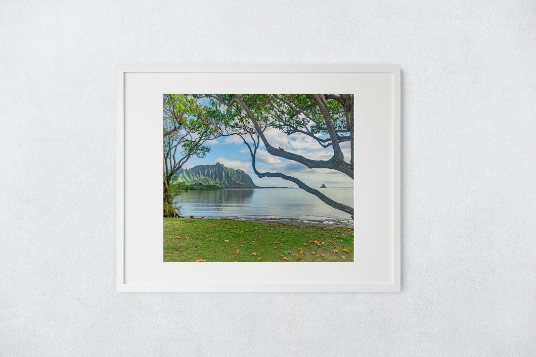 Waiahole Beach Park, Ko’olau Mountains, Chinaman’s Hat, Sunrise, Ocean, Grass, Trees, Framed Matted Photo Print, Image