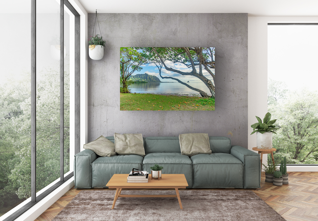 Waiahole Beach Park, Ko’olau Mountains, Chinaman’s Hat, Sunrise, Ocean, Grass, Trees, Metal Art Print, Living Room Interior, Image